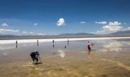 盐湖区最新爆料,揭秘神秘事件背后的真相