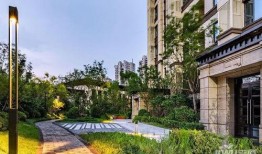 天津房产爆料最新消息,揭秘新政策与价格走势