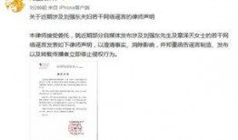 无痕爆料离婚案例最新,揭秘明星夫妻离婚背后的真相与反思